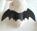 Bat Costume Pet Dog Bat Wings Cat Bat Wings Bat Dog Costume Pet Costume Cat Bat Wings for Party/Halloween