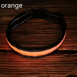 LED Luminous Dog Collar Highlight Reflective Leather Reflective Stripe Ribbon (Option: Orange-L)